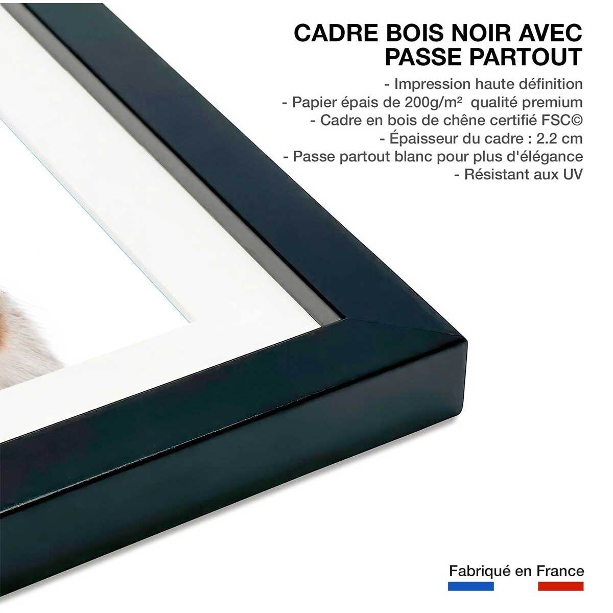 Affiche enfant bébé ecureuil  Affiche + cadre en bois - Noir