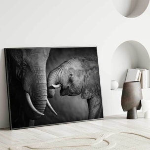 Affiche encadrée – Éléphants en noir et blanc, lien et émotion Affiche + cadre en métal - Noir
