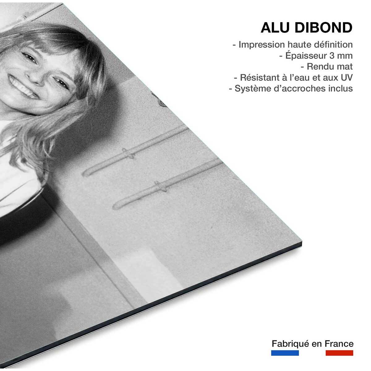 Tableau michel berger et france gall en 1978  Tableau alu Dibond