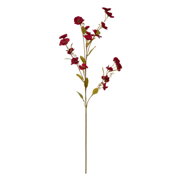 Tige d'anémone Crush H.93cm rouge