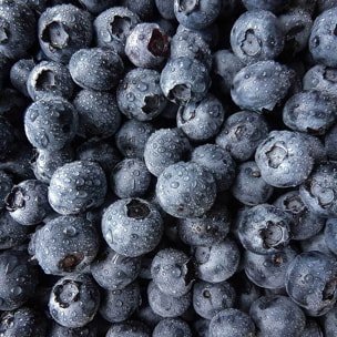 Affiche cuisine cure de cassis Affiche + cadre en bois - Noir