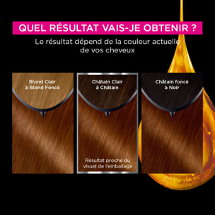 Garnier Olia Coloration 5.3 Chatain Clair Doré
