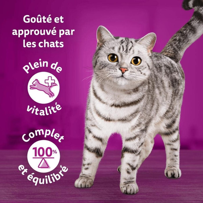 WHISKAS 48 sachets fraîcheur en gelée Délices de l'Océan pour chat 85g (4x12)