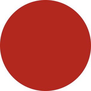 CREAM ICON SHINY LIPSTICK