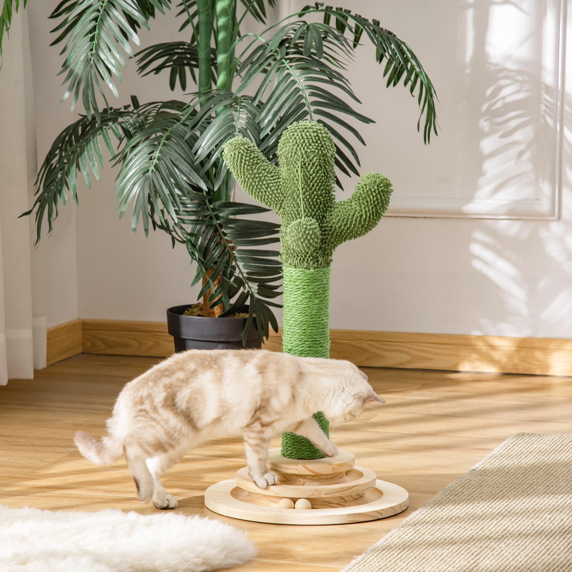 Griffoir chat design cactus - jouet pompon suspendu, jouet boules - bois de pin sisal vert