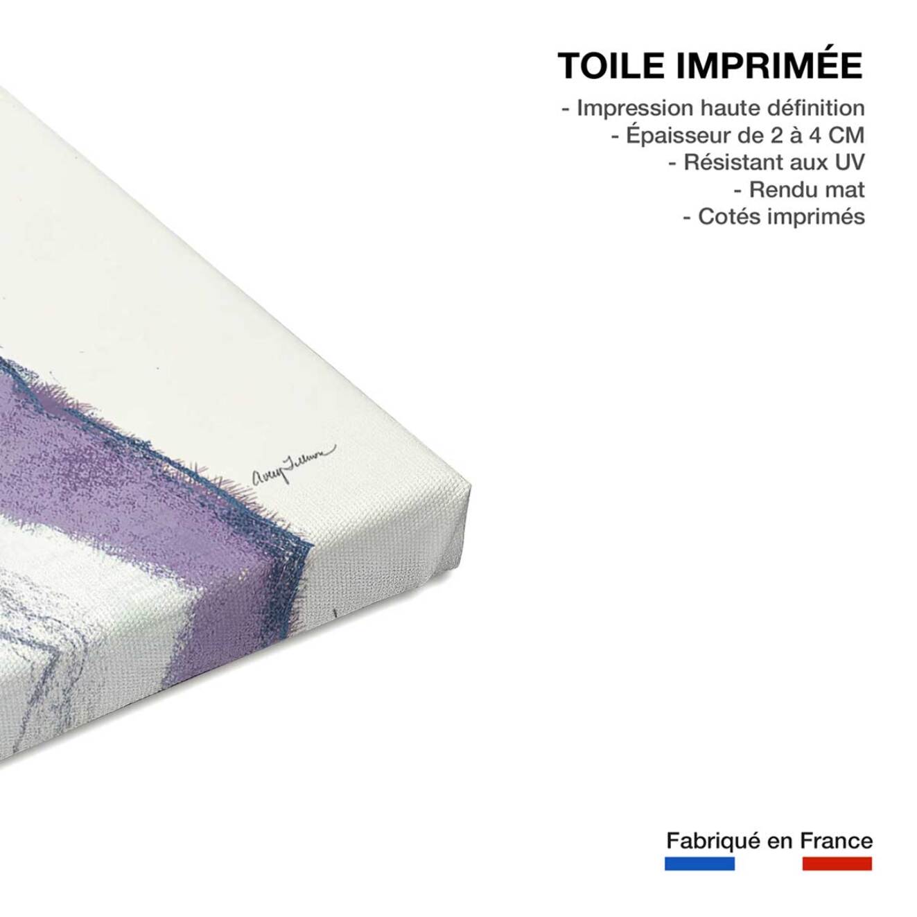 Tableau animaux Bouledogue Ulysse Toile imprimée