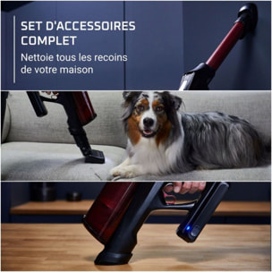 Aspirateur balai ROWENTA X Force Flex 13.60 animal RH9A73WO