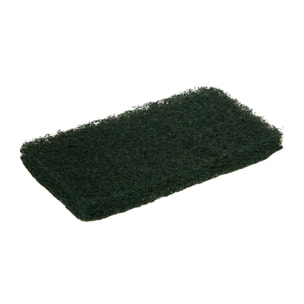 Lot de 2 éponges nettoyantes pour bois exotique