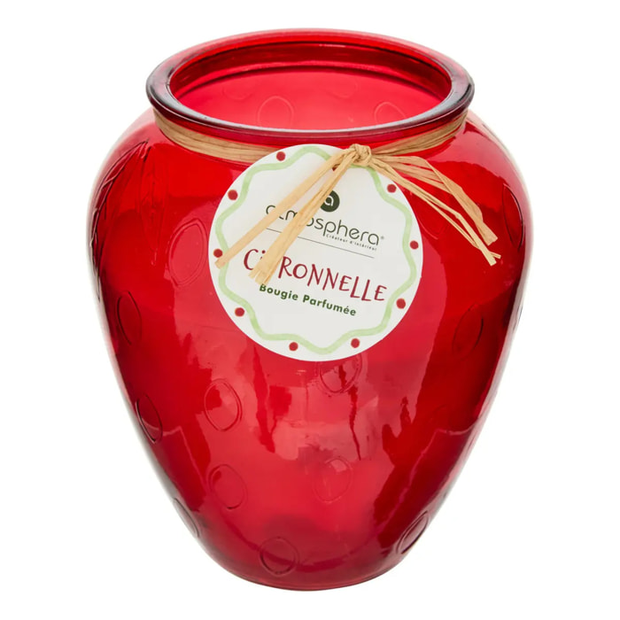 Bougie parfumée 550g Fruity citronnelle