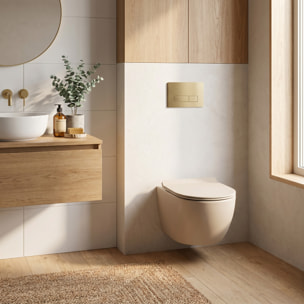 PixL WC suspendu en céramique Vortex , fixations invisibles + abattant Soft-Close, Moka mat (CEPX010RTORPMOM)