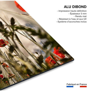 Tableau coquelicots décoration murale moderne Tableau alu Dibond