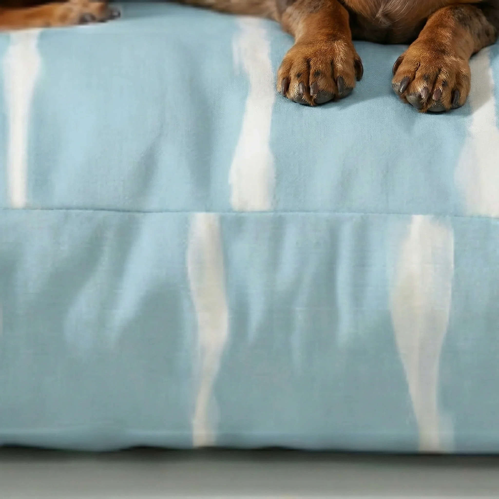 Lit pour animaux antitaches Vera