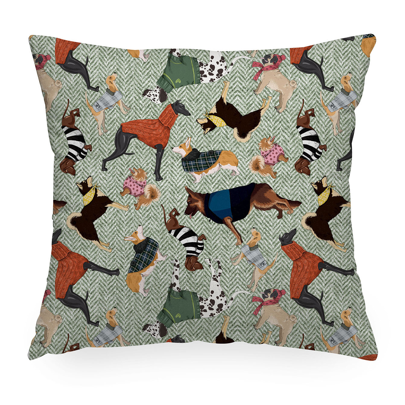 Cuscino arredo Greg Cani