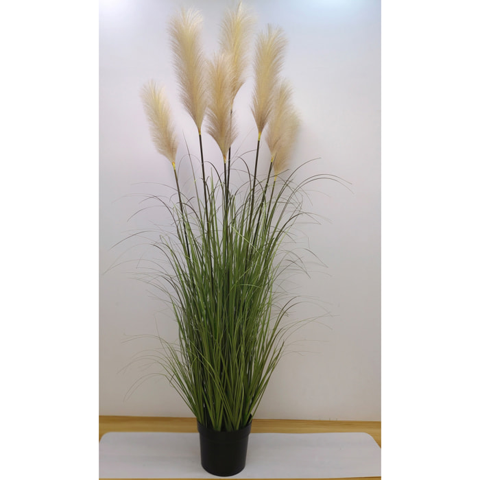 Festuca Glauca Con Vaso H.175 Cm - Pezzi 1 - 60X175X60cm - Colore: Bianco - Bianchi Dino - Piante Artificiali