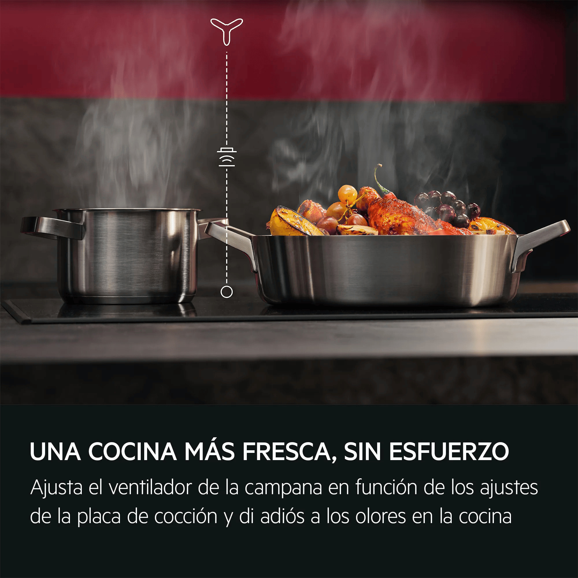 AEG Campana de diseño vertical Serie 7000 SilenceTech de 60 cm GV77D61SB