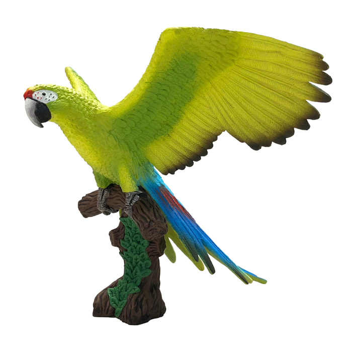 Mondo degli Uccelli/Pappagallo ara macao