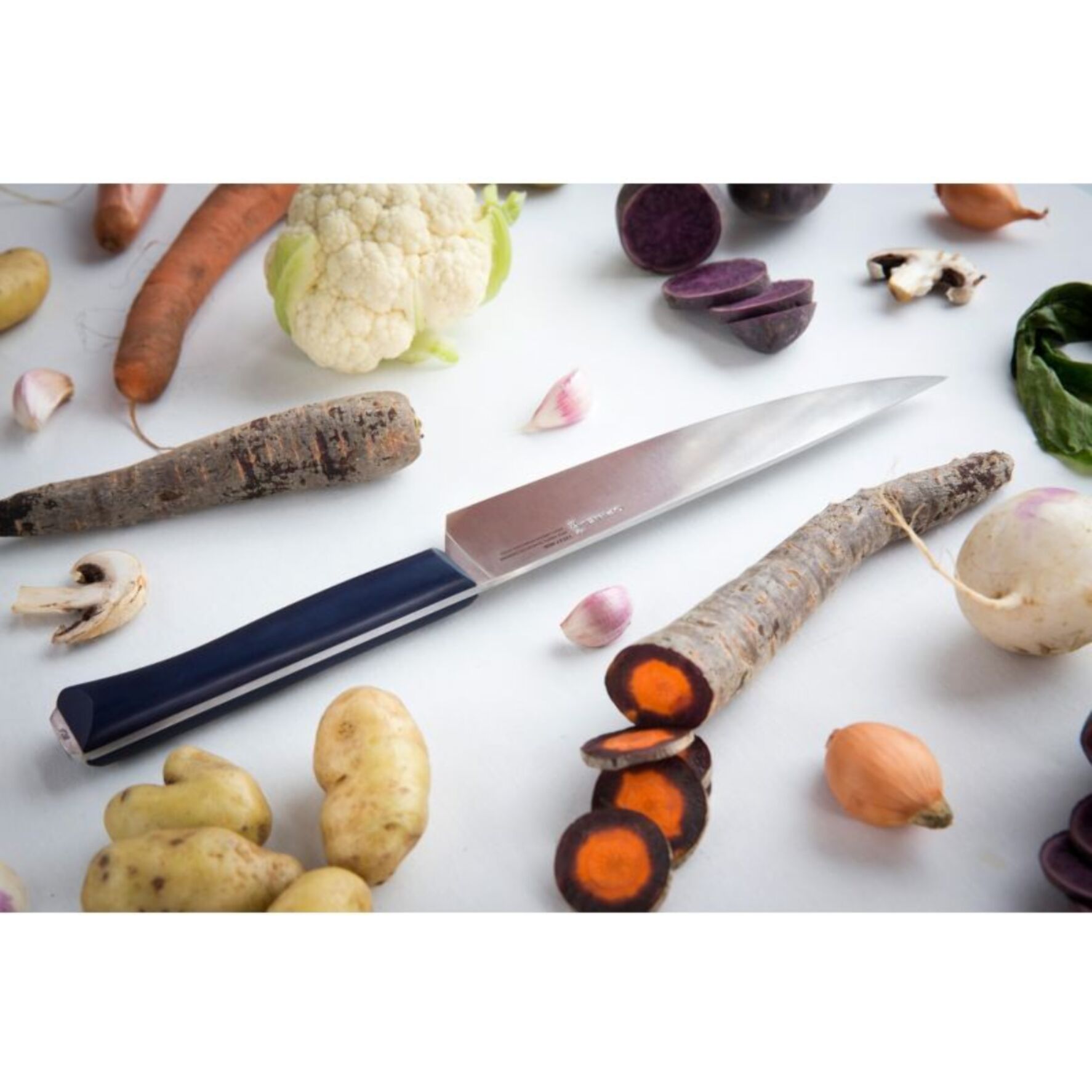 Couteau Chef OPINEL Intempora No218