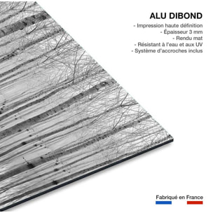 Tableau nature automnale pieds dans l'eau Tableau alu Dibond