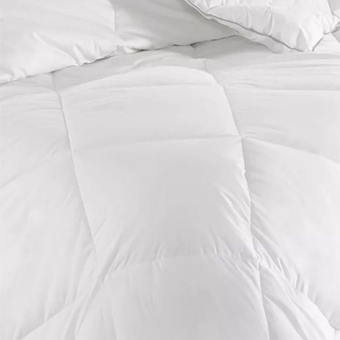 Piumino Everest Ignif Singolo