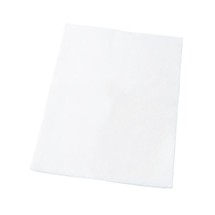 AEG Filtro de aspiradora AEF54