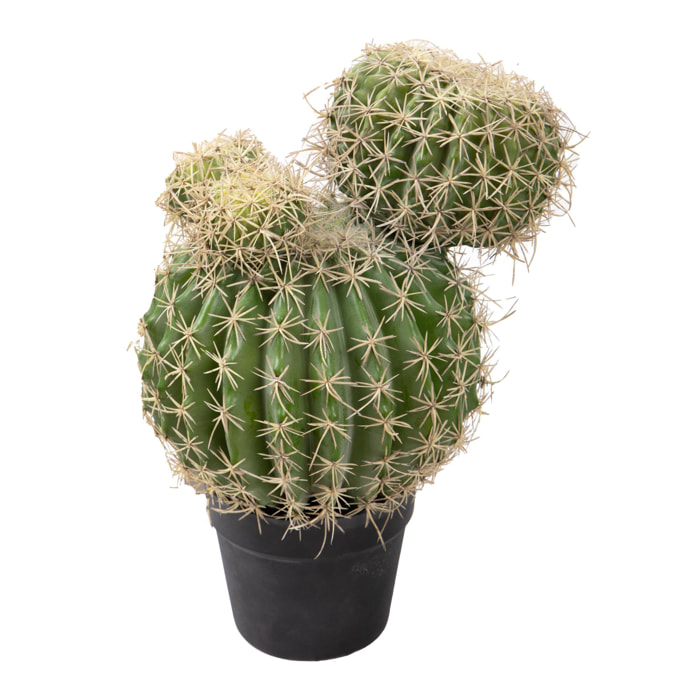 Echinocactus con vaso - Pezzi 1 - 29xH43x30cm - Colore: Verde - Bianchi Dino -