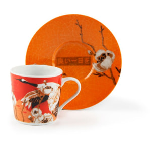 Set 6 Tazze Caffè con Piattino Excelsa – Fuji, Porcellana Multicolore