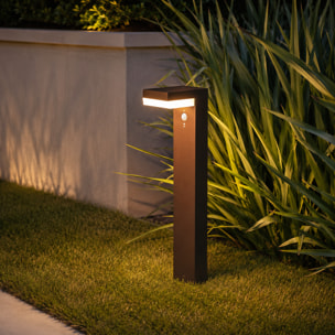 Potelet solaire CENOVA TALL H50CM 600LM