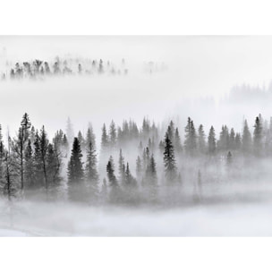 Papier peint panoramique foret dans le brouillard Intissé