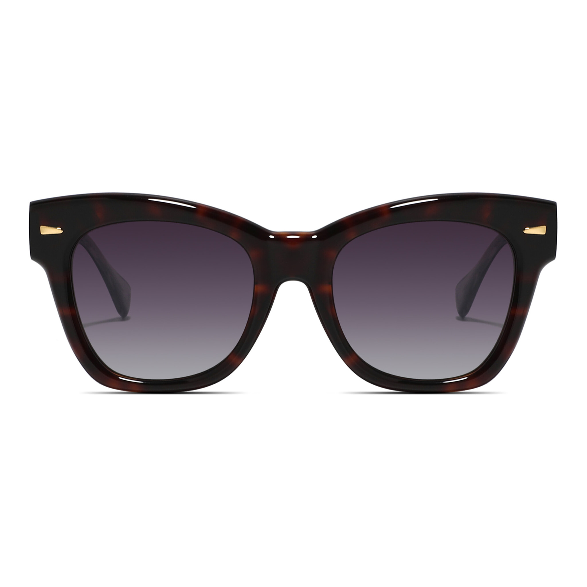 GAFAS DE SOL SEXTON | 8062-7