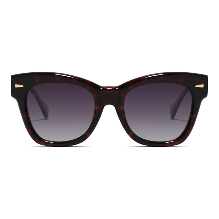 GAFAS DE SOL SEXTON | 8062-7