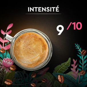 Carte Noire Grains Secret de Nature Congusta 1 KG