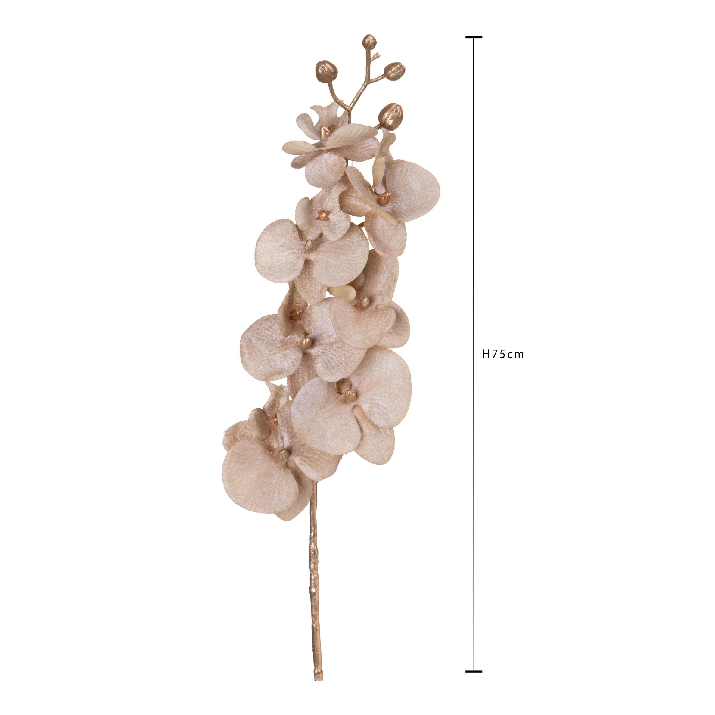 Ramo - Pezzi 12 - 16xH75x13cm - Bianchi Dino SpA