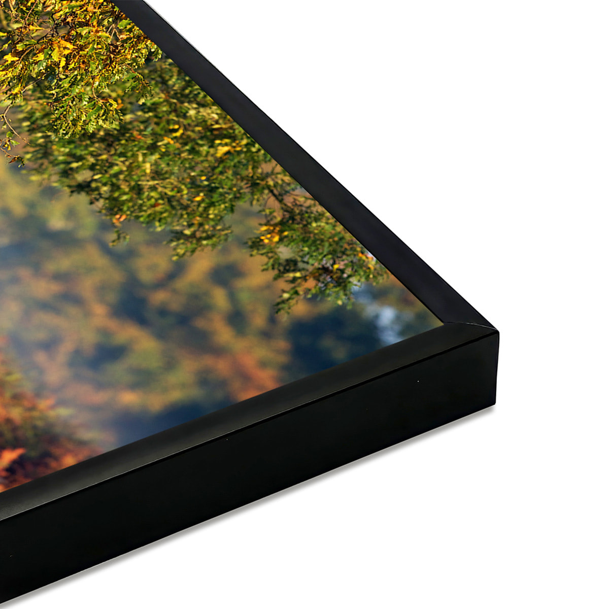 Affiche encadrée cerf en forêt automnale Affiche + cadre en métal - Noir