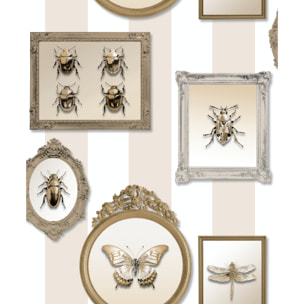 Papier peint entomologie insectes dorés cadres baroques