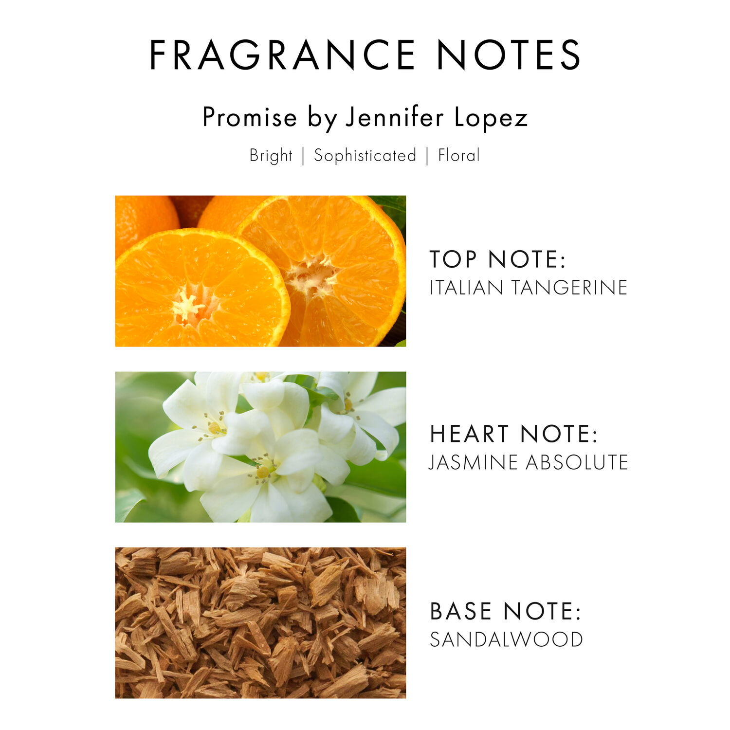 Promise - Eau de Parfum 100ml