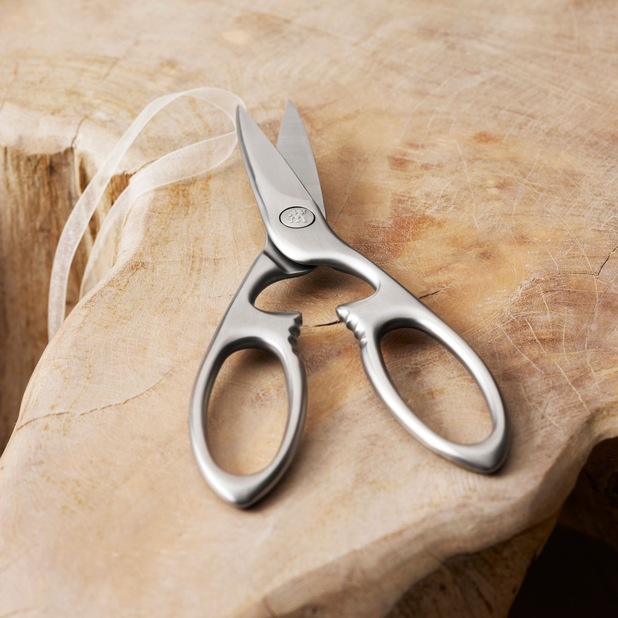 ZWILLING Ciseaux à usages multiples, 20 cm, Acier Inoxydable