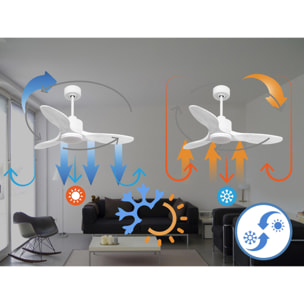Ventilateur de plafond Réversible  Thermostat Dimmable Wifi Moteur à courant continu Toits en pente Télécommande Lumière à trois tons Hypersilence Mémoire