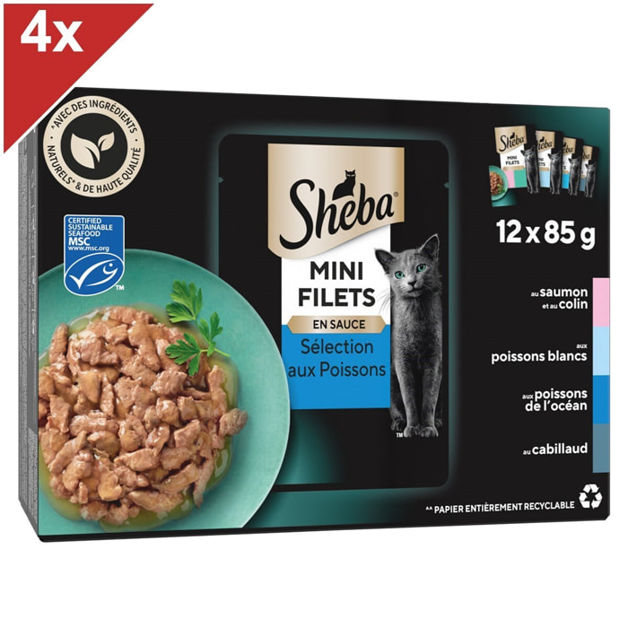 SHEBA 48 Sachets fraîcheur Sélection aux poissons en sauce pour chat 85g (4x12)