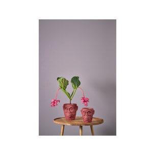 Pot de fleur Calbe