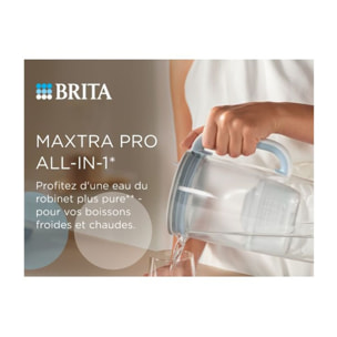 Cartouche filtrante BRITA maxtra pro all in 1 pack de 2