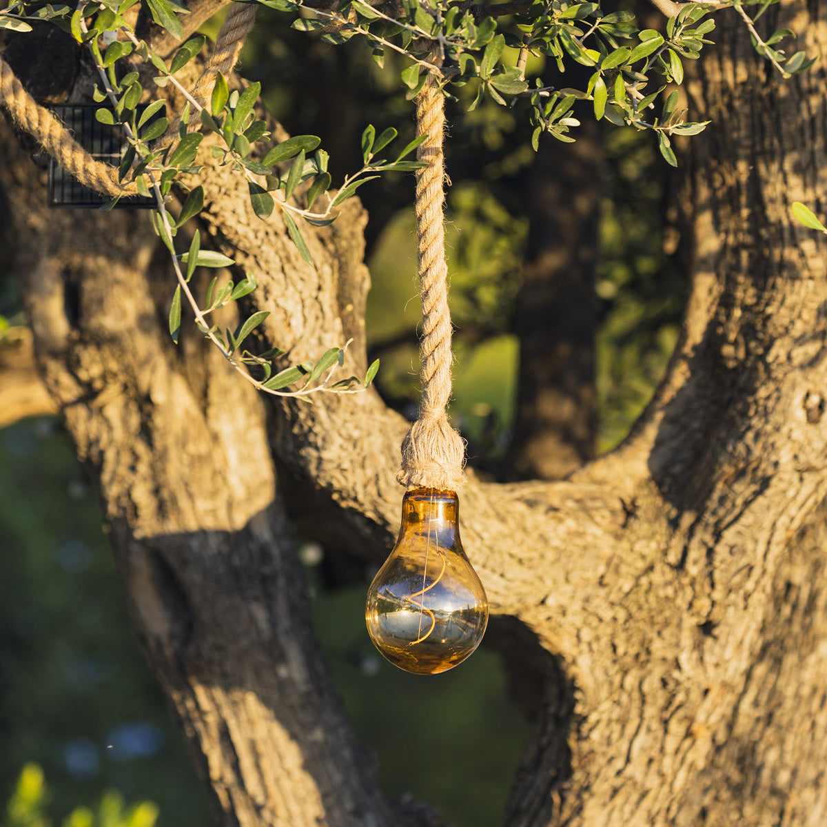 Suspension solaire corde CORDY 2M20