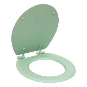Abattant WC Colorama 36x48cm vert céladon