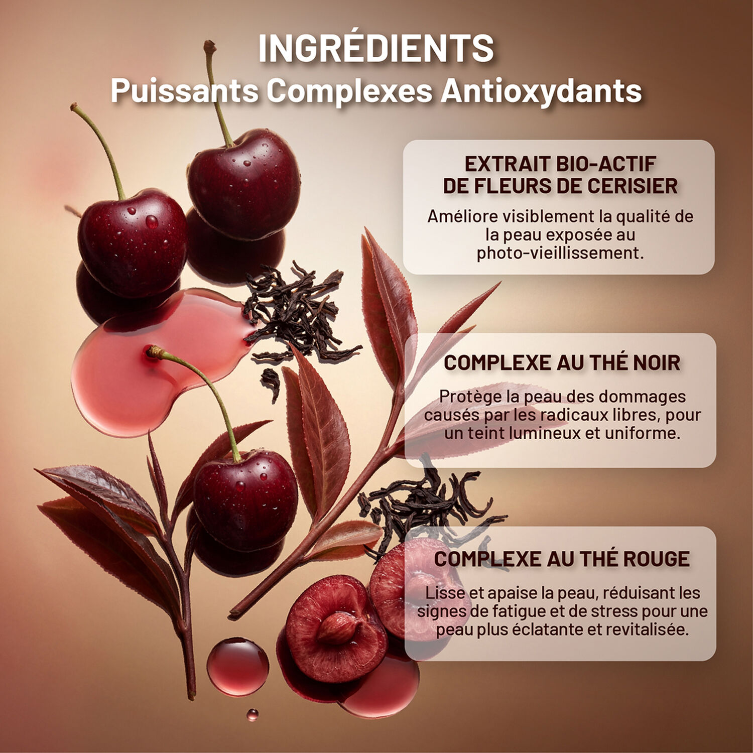 Tan To Glow - Coffret Tea To Tan Body Mist 100 ml + Lip & Cheek 5 ml