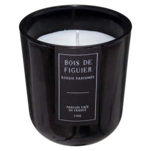 Bougie parfumée "Sili" - figuier 170g