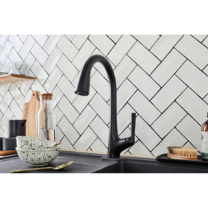 Mitigeur cuisine Forte Bec haut douchette extractible noir mat