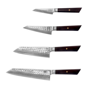 Set complet de couteaux (4 pièces) - Collection Bunka Damas