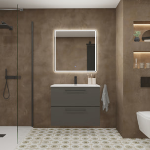 Meuble de Salle de Bain Vex | 80Cm Gris| Deux Tiroirs | Évier Encastré | Miroir non inclus | Meubles Assemblés | Alday