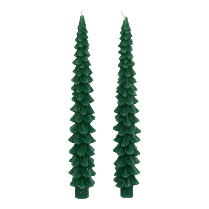 Lot de 2 bougies bâton sapin vert