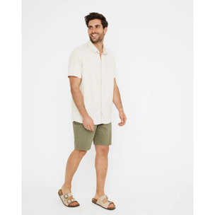 Bermuda Caqui - Daemon