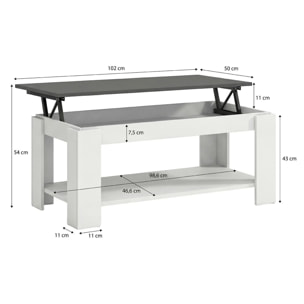 Mesa de centro elevable con almacenaje en blanco mate y gris grafito 102x43-54 cm Lya Blanco Artik (Blanco Mate) - Gris Grafito
